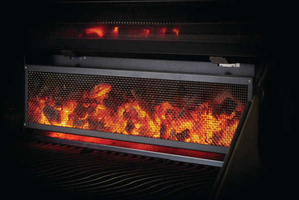 Asador de Carbón Napoleon Professional 605