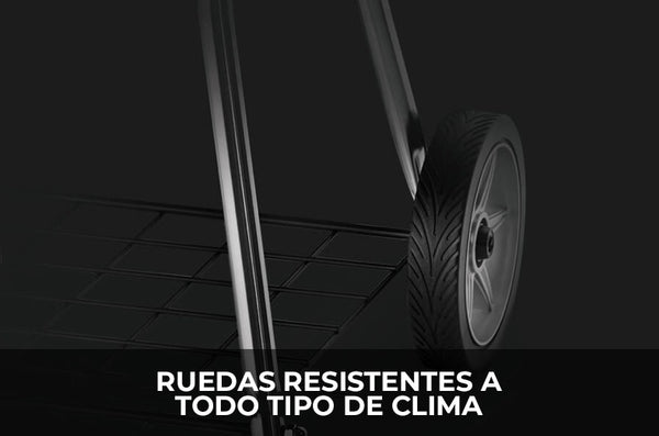 Asador de Carbon Napoleon Kettle PRO